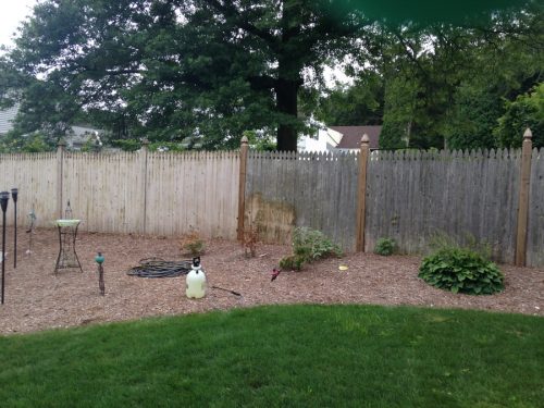 Powerwash & Softwash Photos